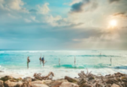 Fabulous 7 Night Sri Lanka Trip Packages