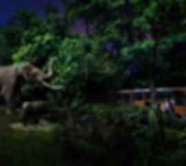 Best of Singapore: 4 Nights