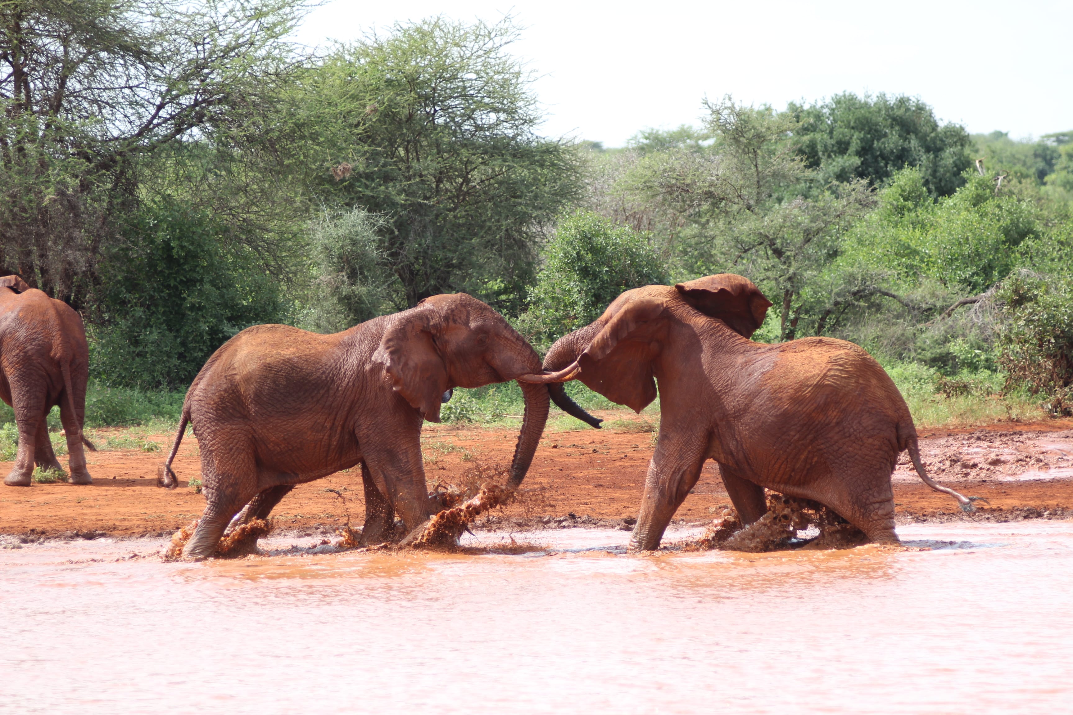 11 Day Kenya Wilderness