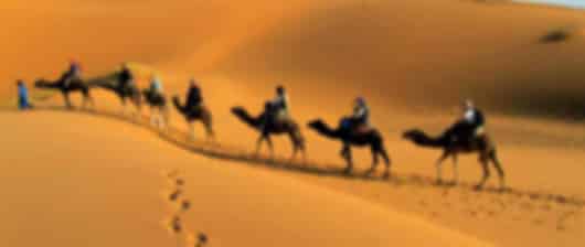 The best ever 10 day Dubai itinerary for adventurers