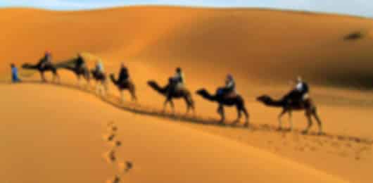 The best ever 10 day Dubai itinerary for adventurers