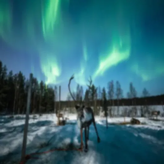 Two Chances at the Northern Lights!