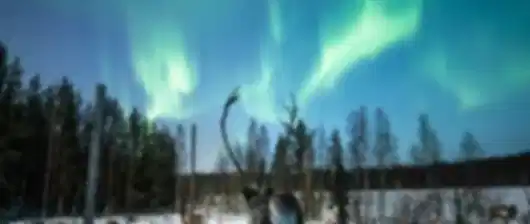 Two Chances at the Northern Lights!