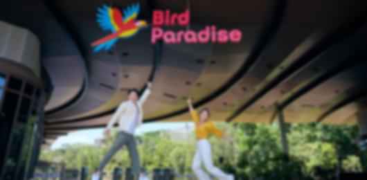 Singapore 5 Nights Package with Complimentary Perfume Making Experience in Scentopia.