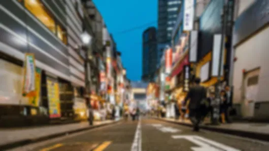 Japan 9 Nights 10 Days Family Winter Escape Itinerary