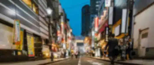 Japan 9 Nights 10 Days Family Winter Escape Itinerary