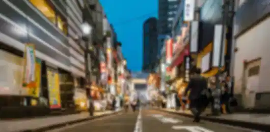 Japan 9 Nights 10 Days Family Winter Escape Itinerary