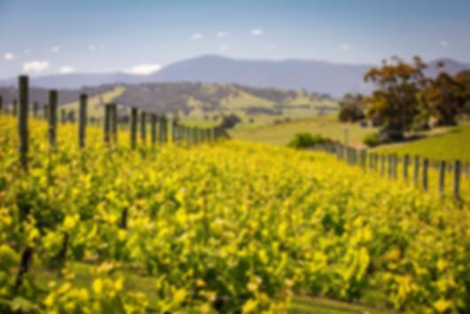 From City Streets to Coastal Views – Victoria in 6 Days