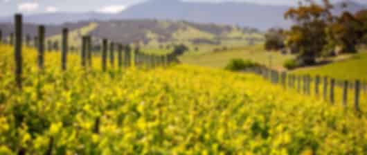 From City Streets to Coastal Views – Victoria in 6 Days