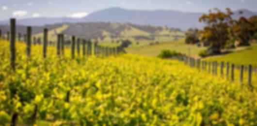 From City Streets to Coastal Views – Victoria in 6 Days