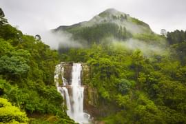 Sri Lanka Hills & Beaches Discovery: 4-Night Journey Through Kandy, Nuwara Eliya, and Bentota