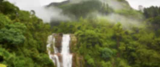 Sri Lanka Hills & Beaches Discovery: 4-Night Journey Through Kandy, Nuwara Eliya, and Bentota