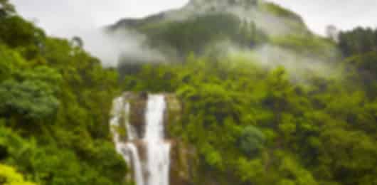 Sri Lanka Hills & Beaches Discovery: 4-Night Journey Through Kandy, Nuwara Eliya, and Bentota