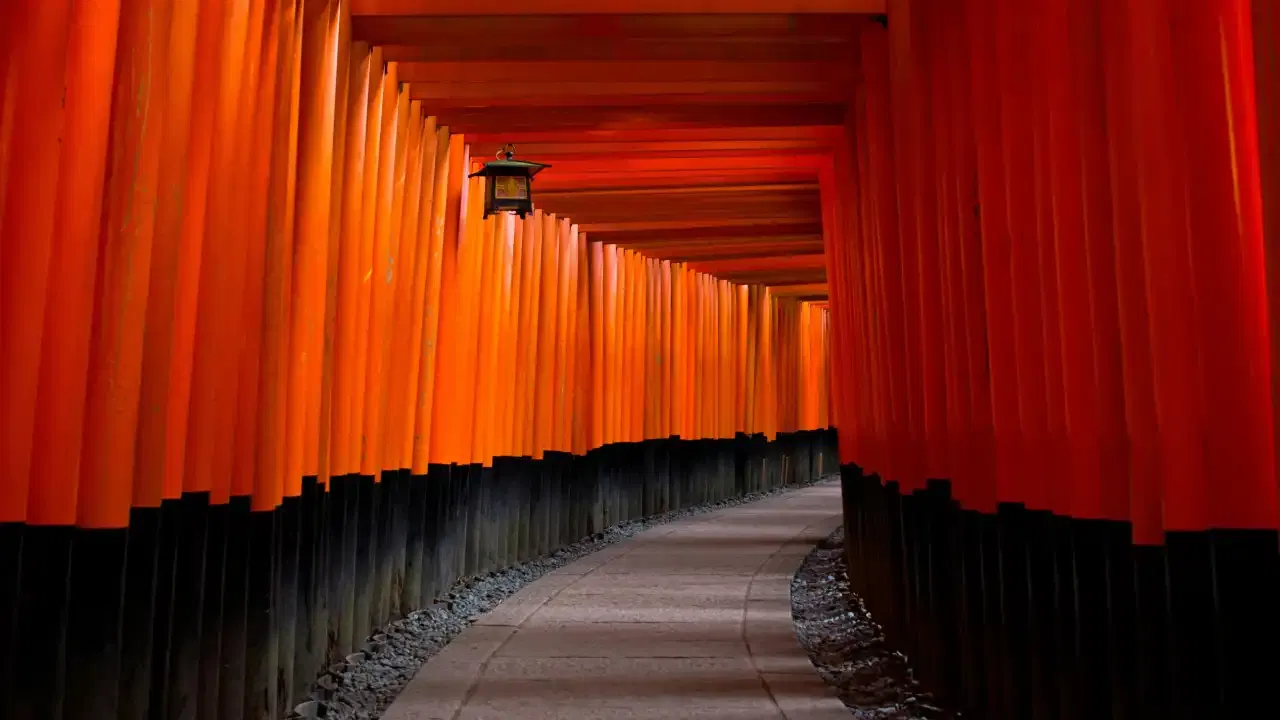 Luxury redefined : A 9 day Japan itinerary