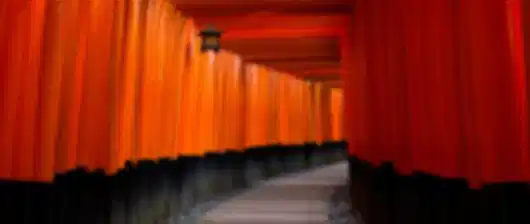 Luxury redefined : A 9 day Japan itinerary