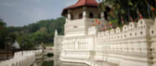 5 Nights Kandy & Colombo - Heritage Sites, Rock Fortress and Hill Country Journey