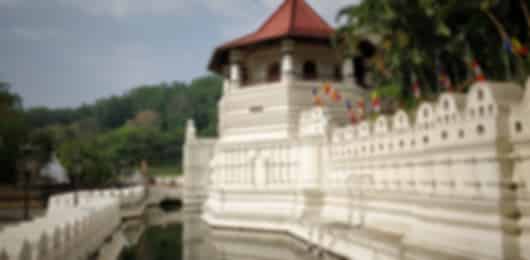 5 Nights Kandy & Colombo - Heritage Sites, Rock Fortress and Hill Country Journey