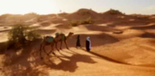 5 nights 6 days Dubai United Arab Emirates attraction Honeymoon package from India