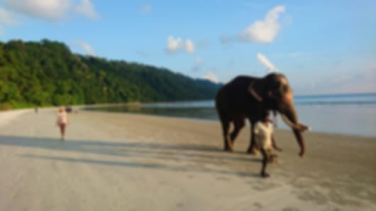 A 5 day itinerary for a feel-good Andaman and Nicobar Islands vacation