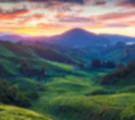 Malaysia Highlands, City Lights & Island Horizons Journey