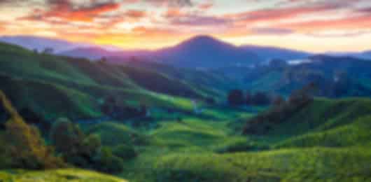 Malaysia Highlands, City Lights & Island Horizons Journey