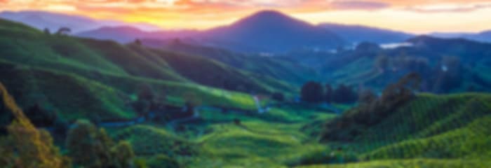 Malaysia Highlands, City Lights & Island Horizons Journey
