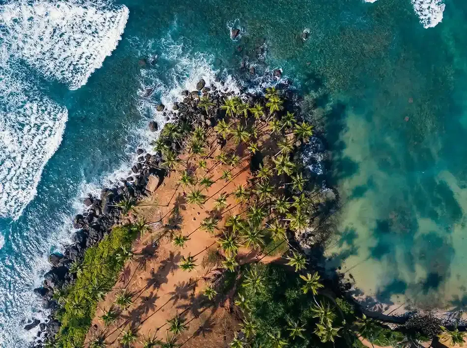 4 Nights | Galle & Bentota – Southern Shores Escape