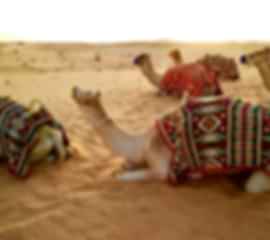 Stunning 3 Nights Dubai Trip with Premium Desert Safari  | Book Now!