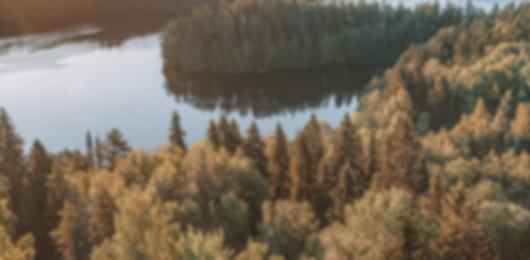 Rovaniemi Delights: 5-Night Adventure for the Best Experience