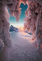 Family Fun in Finland: Exciting 7-Night Itinerary for an Unforgettable Vacation