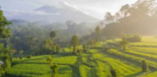 Marvellous 9 Nights Bali Private Pool Villa Holiday Packages