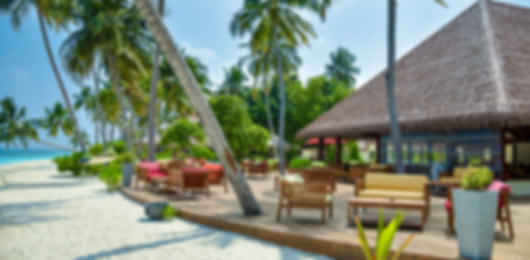 Reethi Faru Resort: Experience Eco-Luxury in the Maldives