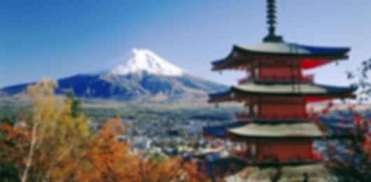 Gorgeous 7 Nights Japan Holiday Package