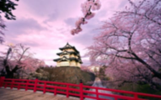 Fantastic 8 Nights Japan Travel Package
