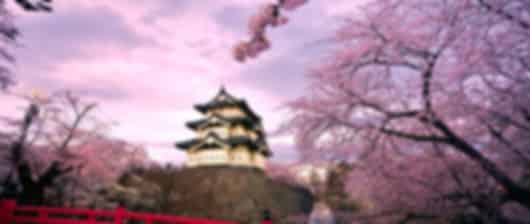 Fantastic 8 Nights Japan Travel Package
