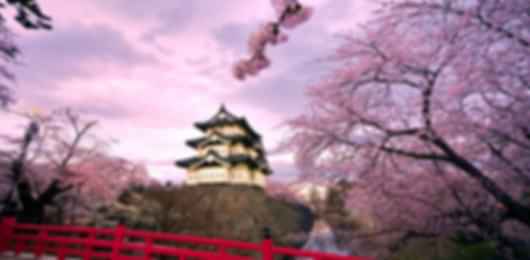 Fantastic 8 Nights Japan Travel Package