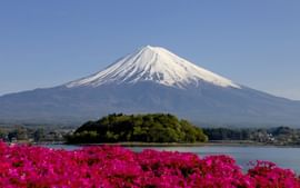 Amazing 5 Nights Japan Trip Package