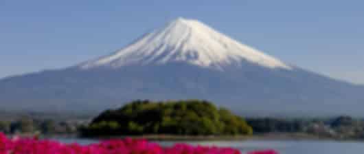 Amazing 5 Nights Japan Trip Package