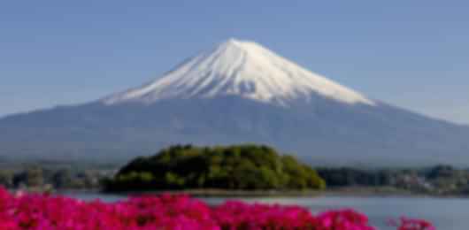 Amazing 5 Nights Japan Trip Package