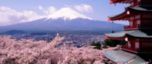 Serene 7 Nights Japan Tour Package from India