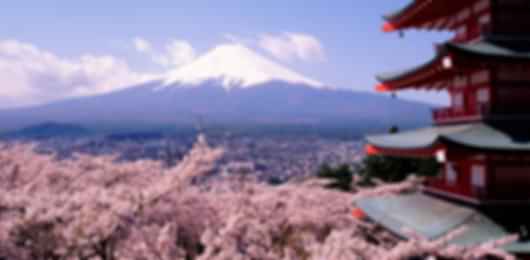 Serene 7 Nights Japan Tour Package from India