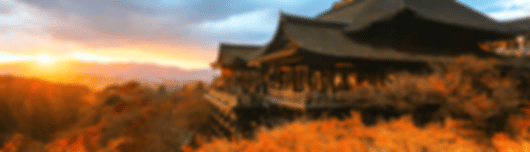 Romantic 6 Nights Japan Honeymoon Package
