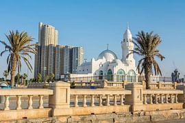 Astonishing Saudi Tour in 4 star