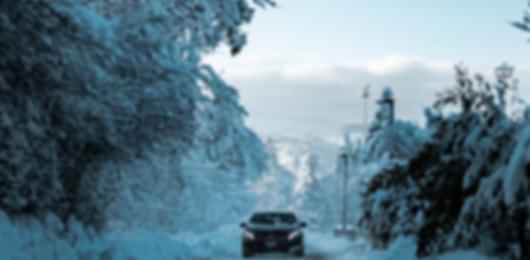 12 nights 13 days Switzerland Tour Package