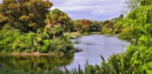 Gorgeous 10 Days Melbourne Tour Package With Flights