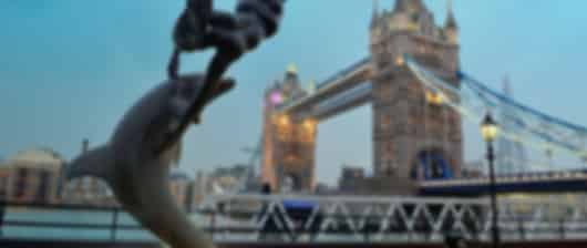 Charming 9 Nights Europe Packages from India