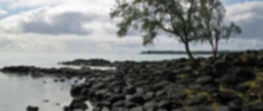 4 Nights The Shandrani Beachcomber - Honeymoon Special