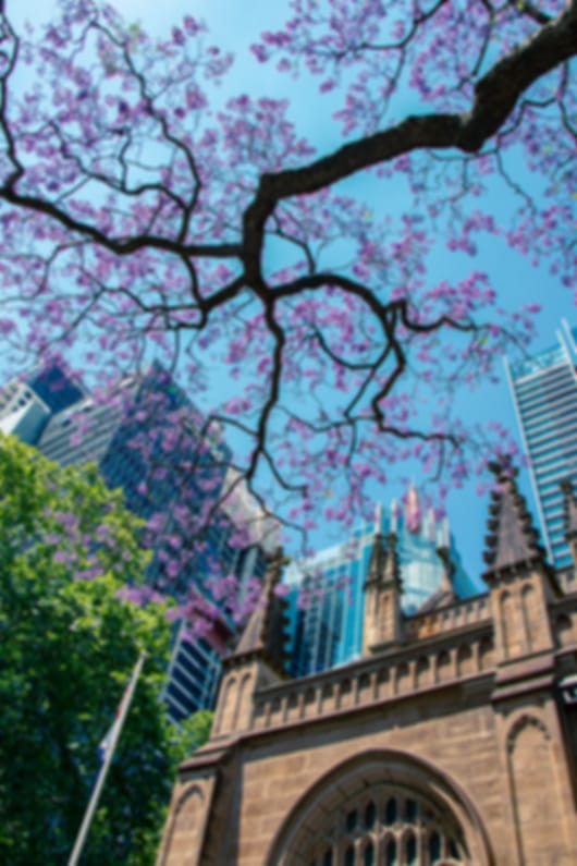 20 Day Australian Trip for Families