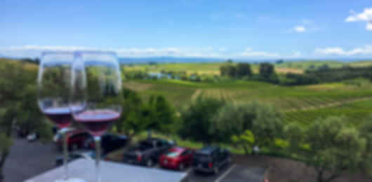 Sip, Savor, Explore: San Francisco’s Wine Experience