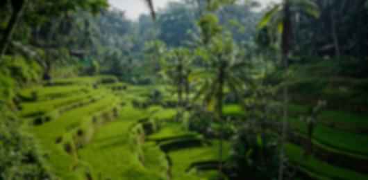 Island Escapes: Sunset Cruise, Thrilling Adventures, and Nusa Penida Wonders